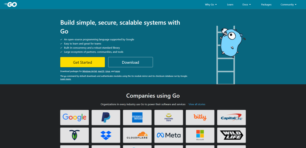 Go programming language
