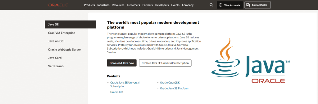 Java programming language