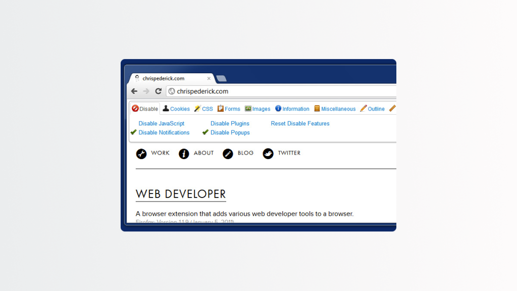 Web Developer