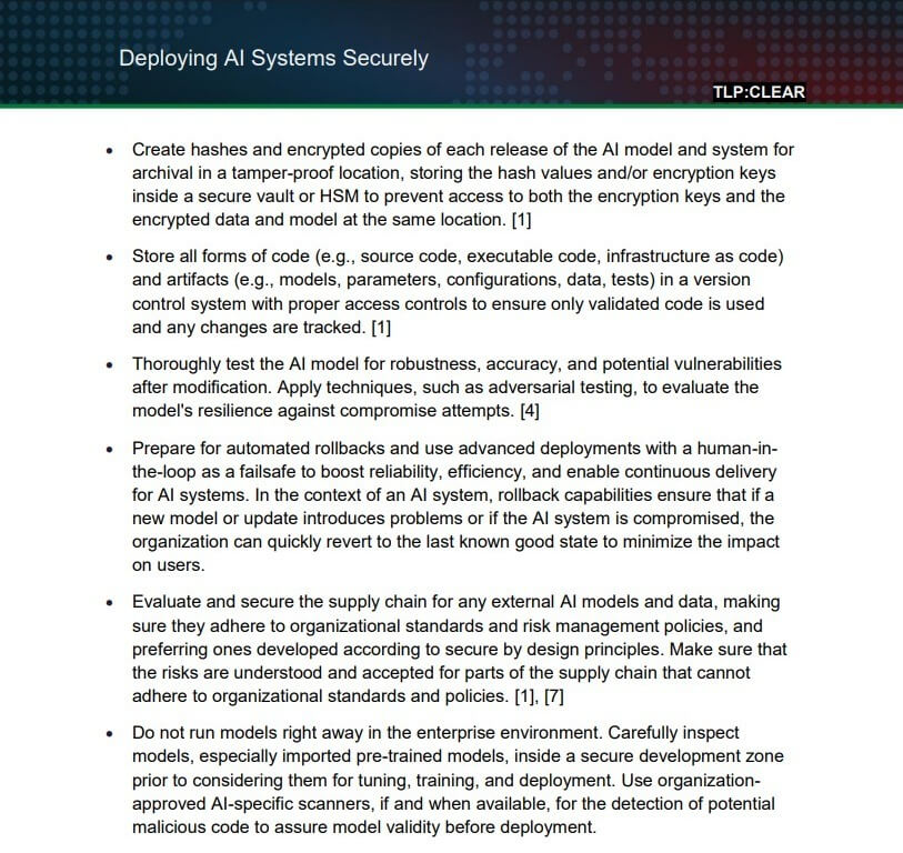An excerpt from the PDF document provided by CISA.